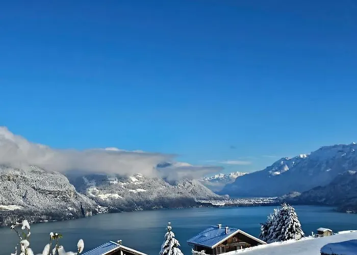 Traumblick Auf Den Thunersee Und Berge * Krattigen