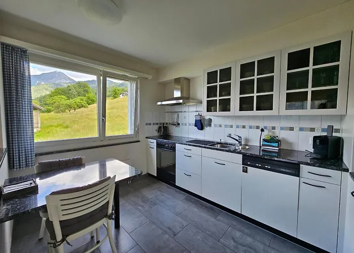 公寓 Traumblick Auf Den Thunersee Und Berge