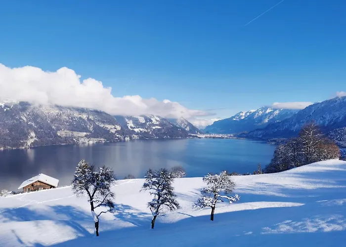 公寓 Traumblick Auf Den Thunersee Und Berge *