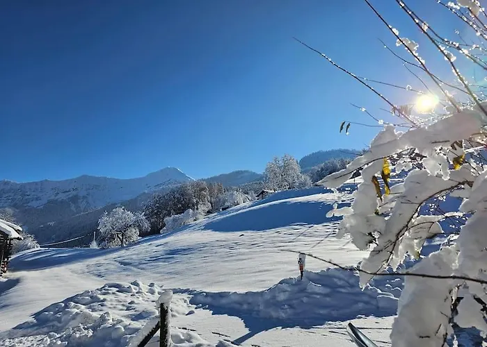 Traumblick Auf Den Thunersee Und Berge * كراتيغين